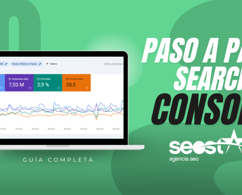 Search console paso a paso
