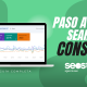 Search console paso a paso