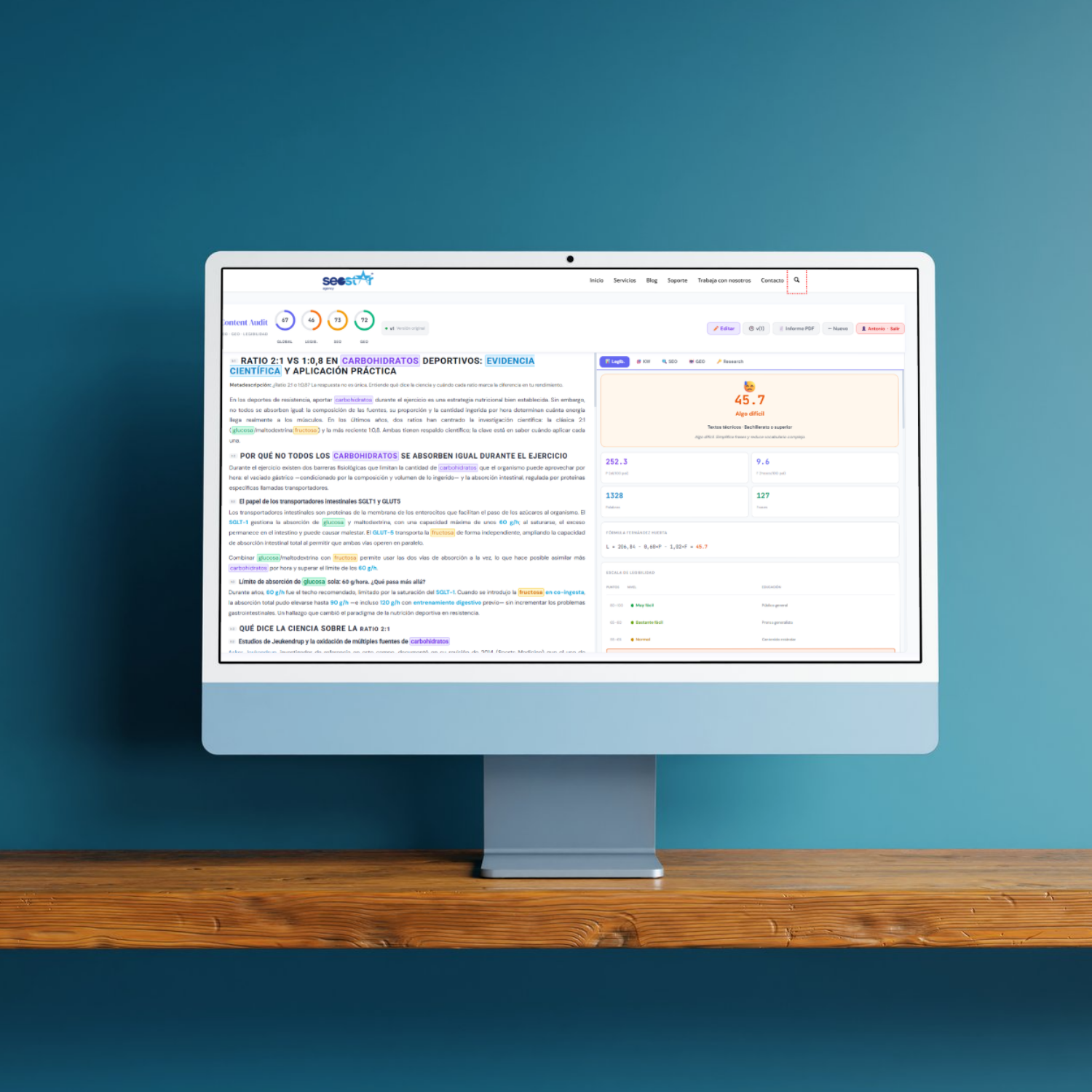 seo write asistant